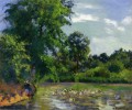 canards sur l’étang à montfoucault Camille Pissarro